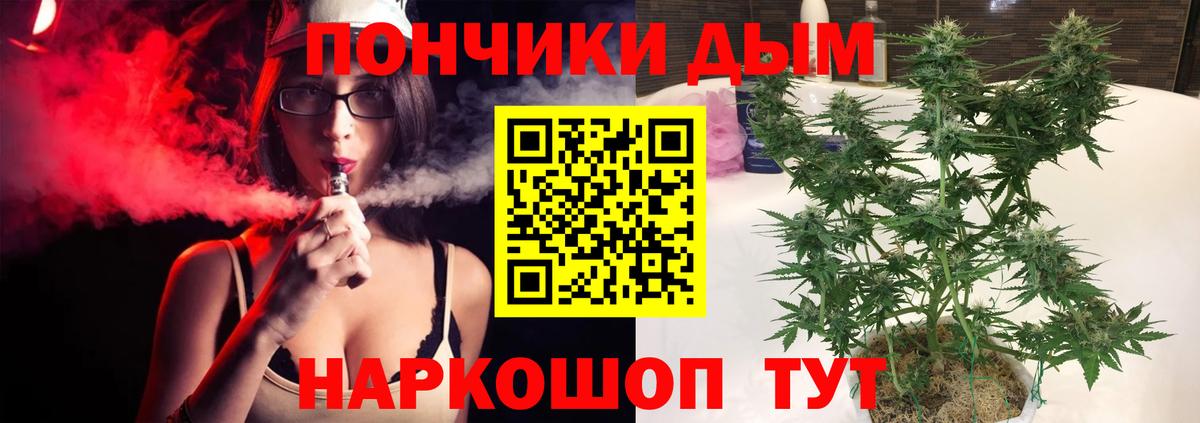 Каннабис семена  Шишки марихуана White Widow  Вход с VPN  Бошки Шишки OG Kush  Канабис конопля  Малоярославец 